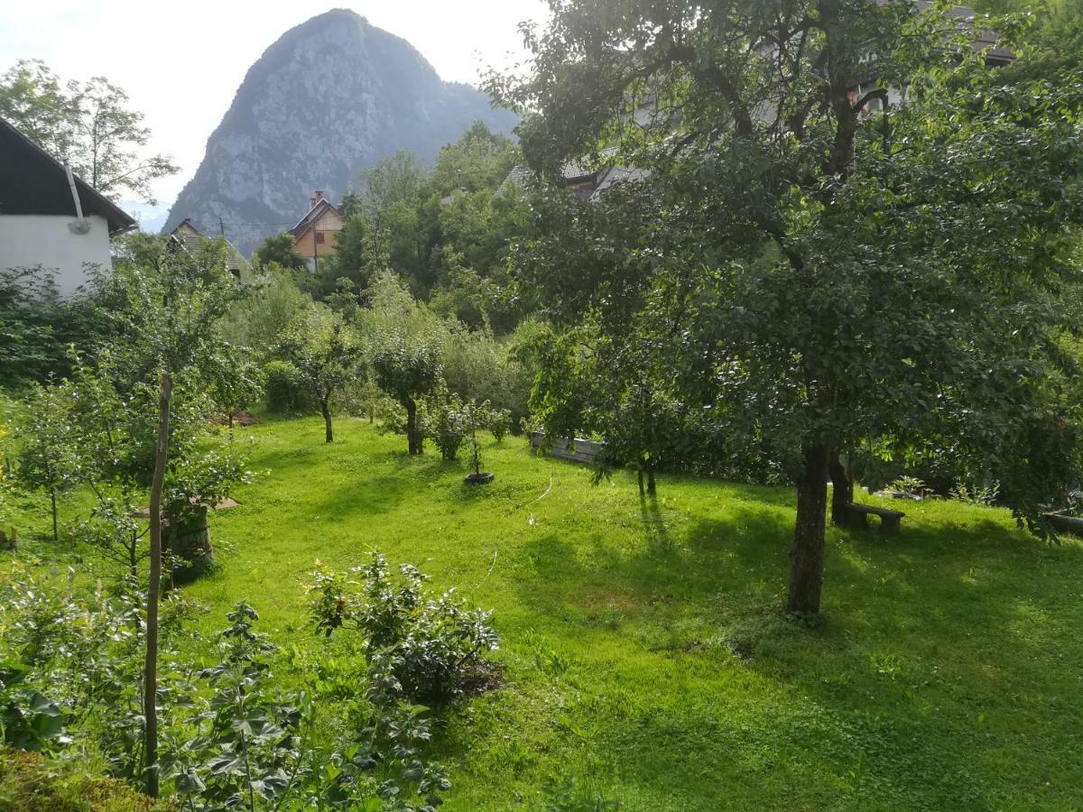 Apartma Pr Pekovcu Bohinj Zewnętrze zdjęcie
